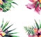 Beautiful bright lovely colorful tropical hawaii floral herbal summer frame of tropical flowers hibiscus orchids and palms leaves