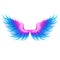 Beautiful bright magic glittery pink blue wings, vector