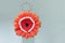 Beautiful bright orange gerbera flower. Concept for Women`s Day