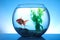 Beautiful bright small goldfish swimming in round glass aquarium on blue background