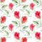 Beautiful bright sophisticated wonderful lovely spring summer floral herbal botanical bright red rustic roses with green leaves