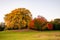 Beautiful bright yellow and red tree leaves in summer public park daylight