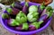 Beautiful Brinjal eggplant in the Home garden