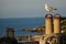 Beautiful Brixham seascape with a seagull on a chimney in Brixham Devon looking out to sea