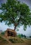 Beautiful broken hut under a tree