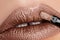 Beautiful bronze lips