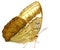 Beautiful brown butterfly, Cambodian junglequeen side view profile standing on floor isolated on white background