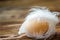 Beautiful brown egg of a guinea fowl with white feathers on wooden background