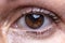 Beautiful brown eye of a young woman. Vision and health. Close-up