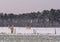 Beautiful brown horses standing in a white snowy pasture, winter season at the country side, peaceful nature scenery