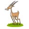 Beautiful brown wild antelope