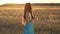 Beautiful brunette lady in wheat field at sunset