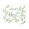 Beautiful brush lettering , Live healthy. Hand drawm Vector