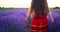 Beautiful bulgarian girl in ethnic folklore costume running on a blooming lavender field. Bulgaria 4K video