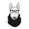 A beautiful bull terrier with glasses and a scarf. Vector illustration with thoroughbred dog. Hipster.