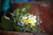 Beautiful bunch of garden flowers laying on the wooden background