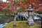 Beautiful bunch of red maple leaves over the pool and old traditional japan bridge and lantern. Autumn background