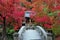 Beautiful bunch of red maple leaves over the pool and old traditional japan bridge and lantern. Autumn background