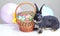Beautiful bunny near Easter basket decorated with balloons