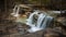 Beautiful Burden Falls in the Shawnee National Forest, United states