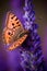 Beautiful Butterfly on Blade of Grass in Nature with a Soft Focus on Blurred Background Beautiful Bokeh. Magic Dreamy Artistic