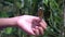 Beautiful butterfly flutters its wings on the hand of a little girl Amazing butterfly in nature forest