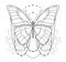 Beautiful butterfly icon. Monochrome vector illustration is isolated on a white background. Insects art. Decorative element