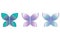 Beautiful butterfly icon set. Vector illustration. Eps10