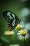 Beautiful Butterfly Landing on a Green Spring Flower