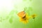 Beautiful butterfly perching on yellow flower isolate on green b