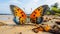 Beautiful butterfly on sandy beach exquisite macro captures intricate details