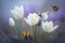 Beautiful butterfly is sitting on a crocus. Spring nature. Calm foggy weather. Serene, peaceful atmosphere . Generative