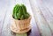 Beautiful cactus in the cup vase decor.