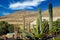 Beautiful cactus garden terrace, whirlpool, dry arid hills background, blue summer sky - Sotavento Beach, Fuerteventura