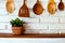 Beautiful cactus in vase on kitchen counter