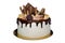 Beautiful cake covered with cottage cheese cream and chocolate icing, decorated with chocolate, cookies, kumquat. Isolated on