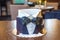 Beautiful cake for men, decorated in the form of a suit with a bow tie. Concept of the desserts for the birthday boy