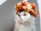 Beautiful Calico Cat with a wreath on his head. Cute angry kittty sits in flowers diadem on her head sits in the sun and