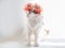 Beautiful Calico Cat with a wreath on his head. Cute kitty in a flowers diadem on her head sits in the sun and looks