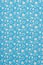 Beautiful calico texture with embroidered blue and white flowers on a calm blue plain background