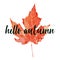 Beautiful calligraphy lettering text - Hello Autumn. Bright orange red watercolor aquarelle artistic maple leaf vector
