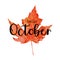 Beautiful calligraphy lettering text - Hello October. Bright orange red watercolor artistic maple leaf vector