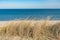 Beautiful calm blue sea with waves and sandy beach with reeds and dry grass