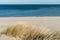 Beautiful calm blue sea with waves and sandy beach with reeds and dry grass