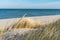 Beautiful calm blue sea with waves and sandy beach with reeds and dry grass