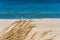 Beautiful calm blue sea with waves and sandy beach with reeds and dry grass