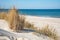 Beautiful calm blue sea with waves and sandy beach with reeds and dry grass