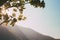 Beautiful, calm and brightful background of sunshine, green leaves, mountains and sky during sunset.