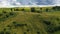 beautiful  calm countryside landscape on a farm