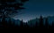 Beautiful calm night scene illustration with starry sky in forest